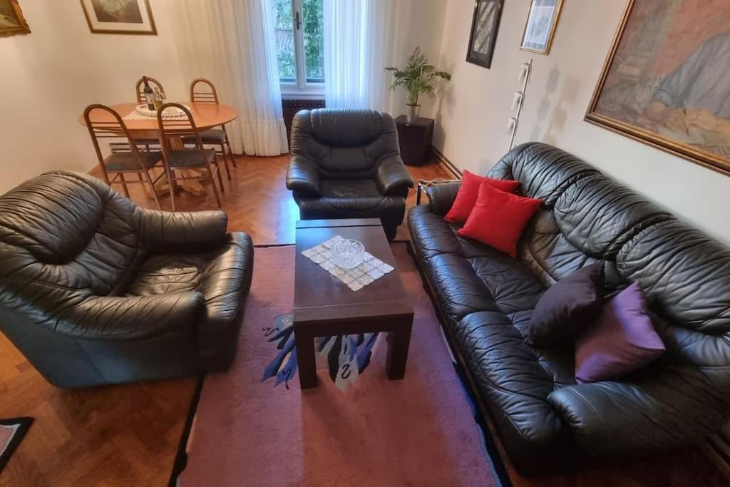 Olden House-Central Apartment-Parking Zagabria Esterno foto