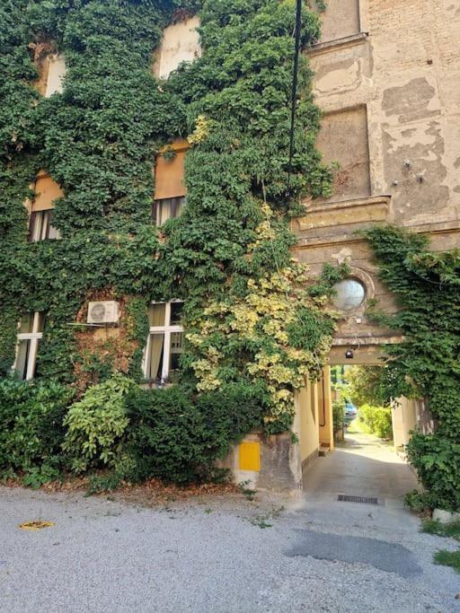 Olden House-Central Apartment-Parking Zagabria Esterno foto